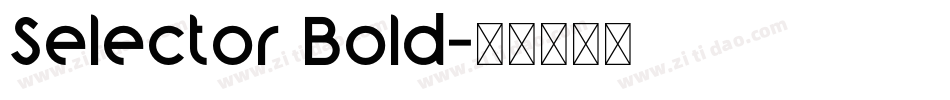 Selector Bold字体转换